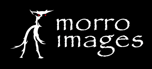 morro images